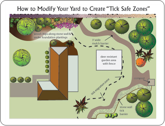 Tick Safe Zones