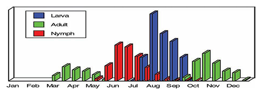 Tick Calendar